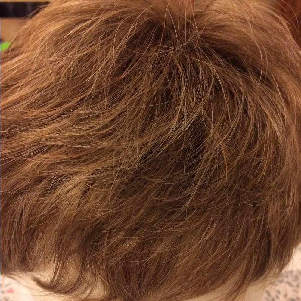 💜Paula Young Short Hair Wig💜
